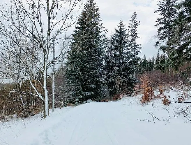 Willa Smieszek Hostel