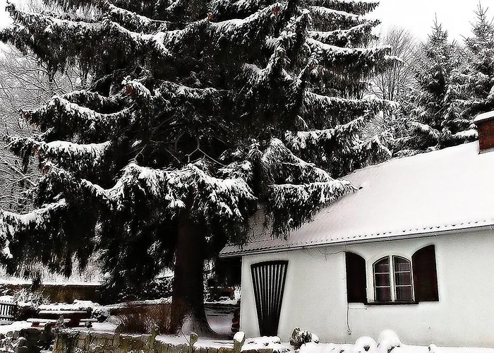 Hostel Willa Smieszek